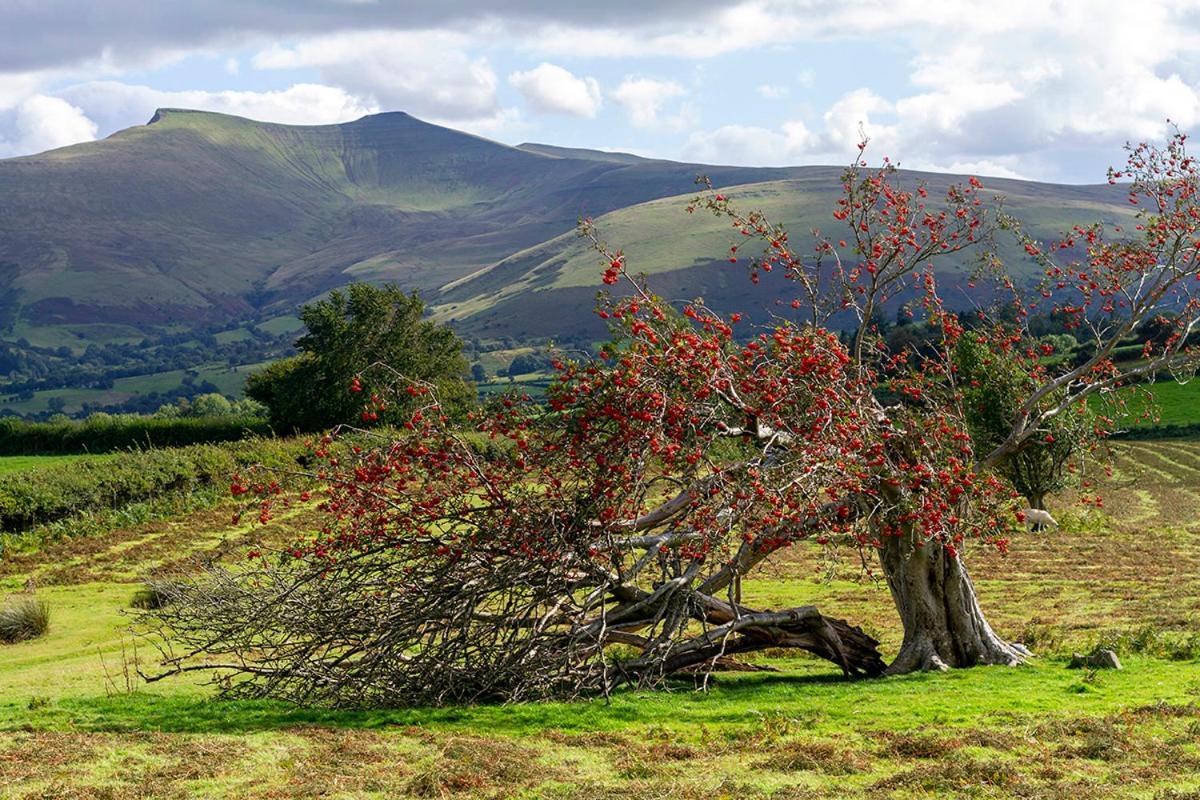 Picturesque 2 Bedroom Miners Cottage Near Bike Park Wales & Brecon Beacons Merthyr Tydfil Εξωτερικό φωτογραφία